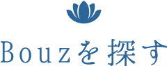 Bouzを探す
